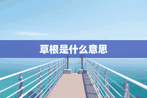 草根是什么意思(平民草根是什么意思)